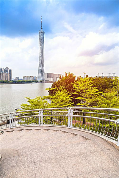 揭秘深圳洋妞网站的真实内幕